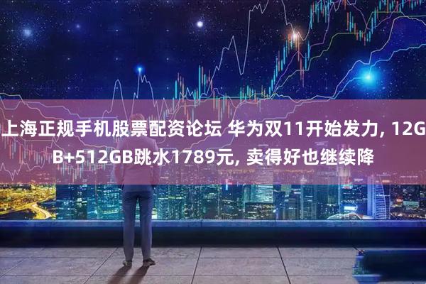 上海正规手机股票配资论坛 华为双11开始发力, 12GB+512GB跳水1789元, 卖得好也继续降