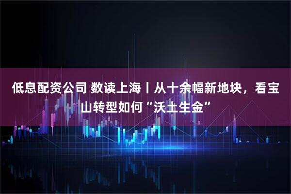 低息配资公司 数读上海丨从十余幅新地块，看宝山转型如何“沃土生金”