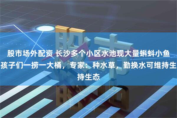 股市场外配资 长沙多个小区水池现大量蝌蚪小鱼，孩子们一捞一大桶，专家：种水草，勤换水可维持生态
